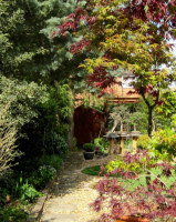 Bonsai Garden 